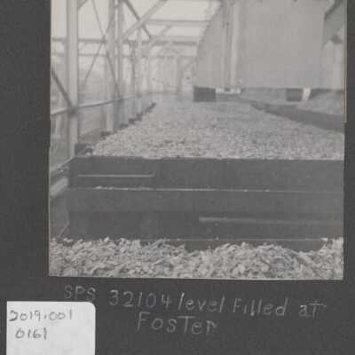 Lumber Industry