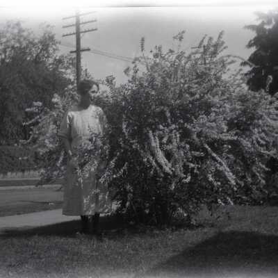 Woman Beside Flowering Bush, #1.