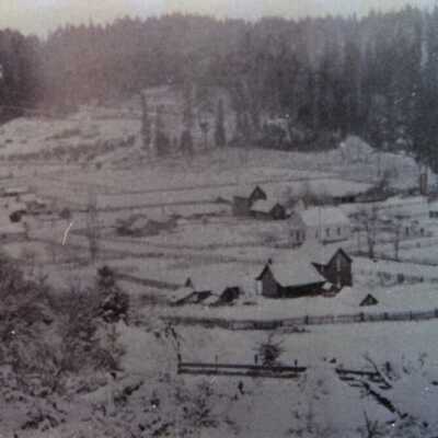 The Town of Viola