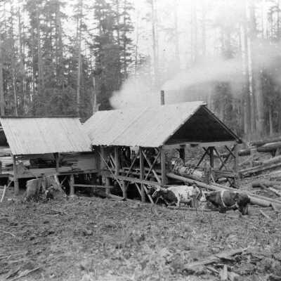 W. F. Harris Sawmill, North of Henrici Rd., 1900.