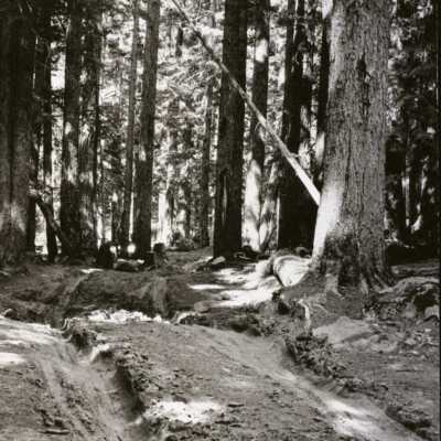 Oregon Trail at Mt. Hood 1920s - Barlow Road