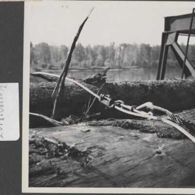 Lumbern Industry