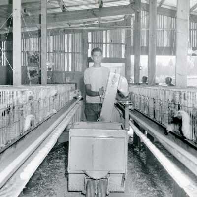 Men in Chicken Coop.