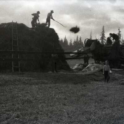 Threshing Time Near Colton #1