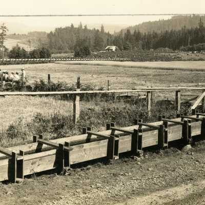 Open Field with Water Flume for Irrigation..