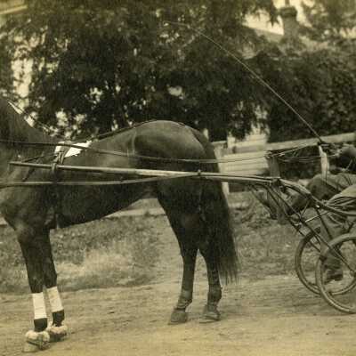 Clyde Scoffins riding horse-drawn sulky