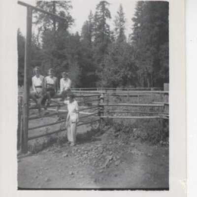 Three Women Sitting on a Fence