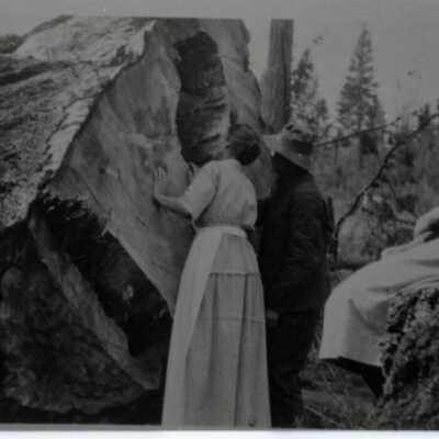 Alfred Barnabas Mulloy and His Wife with Large-cut Cedar Tree