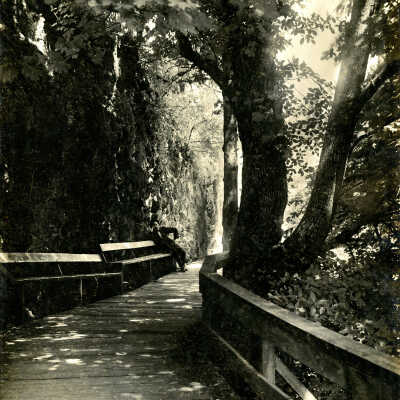 Lover's Lane, Oregon City.