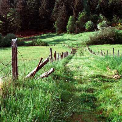 Old Tractor Road in Happy Valley, 1980s.: Copyright: Clackamas County Historical Society; Origformat: Other