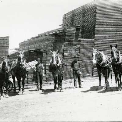 Broughton's Lumber Mill Yard