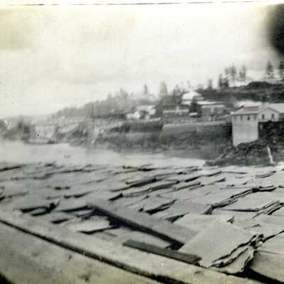 Wood Pulp Pile Near Willamette Falls.