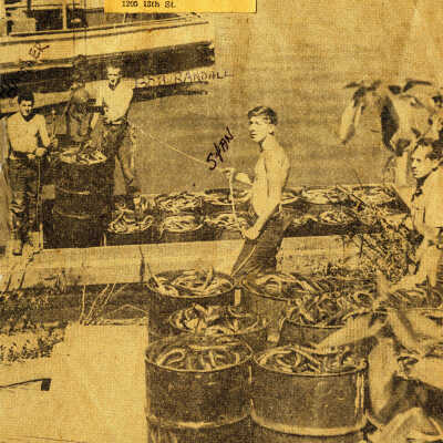 Barrels of fish/eels and fish crew. 1946.