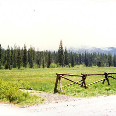 Summit Meadow, Mt. Hood Area. 1994.