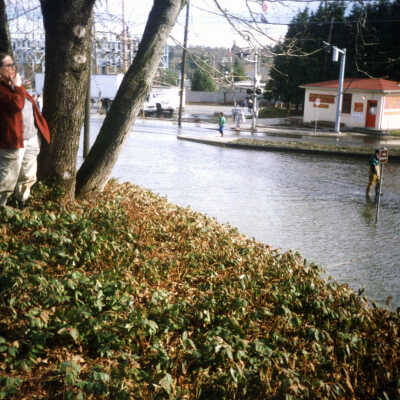 1996 Flood - Lake Oswego.