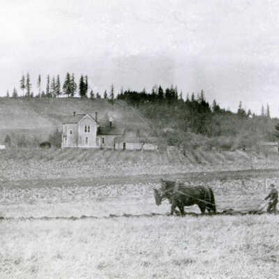 Stafford Oregon 1913 - Henry T. Duncan Plowing His Field
