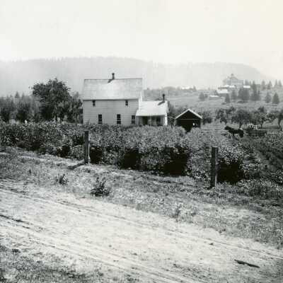 The DeBok Farm at Willamette.