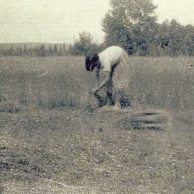 Young Woman Processing Flax..