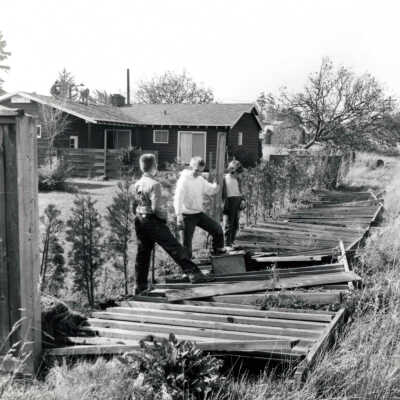 1962 Columbus Day Storm, Fence Damage.