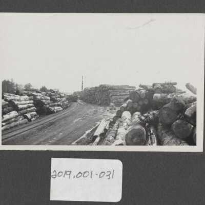 Lumber Industry