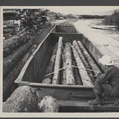 Lumber Industry