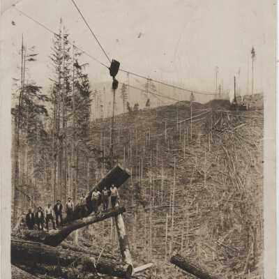 Blue Lake Logging Crew
