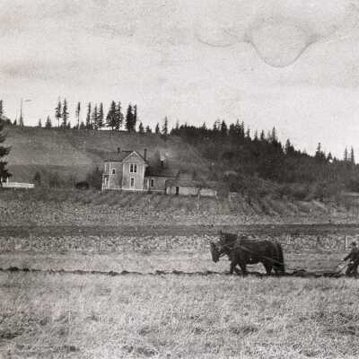 Hazellia - Henry T. Duncan Farm, Plowing West Field.