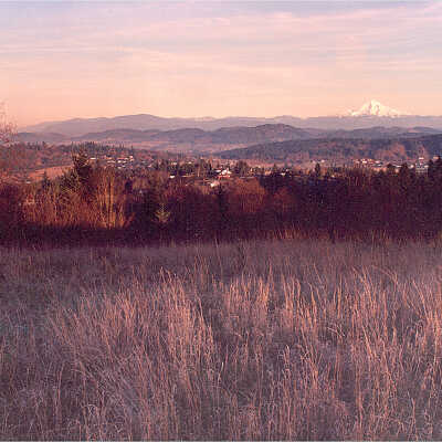 View from Happy Valley toward Mt. Hood.
