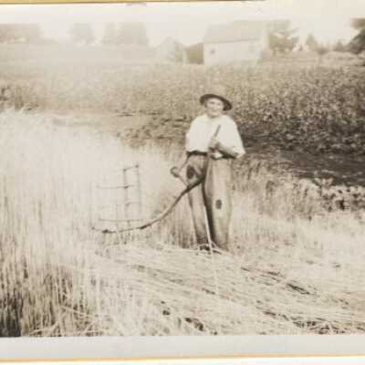 Cradling Grain