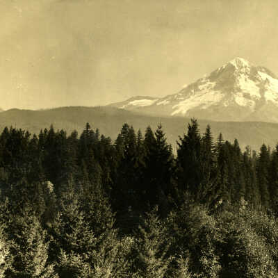 Mt. Hood and building in forest.