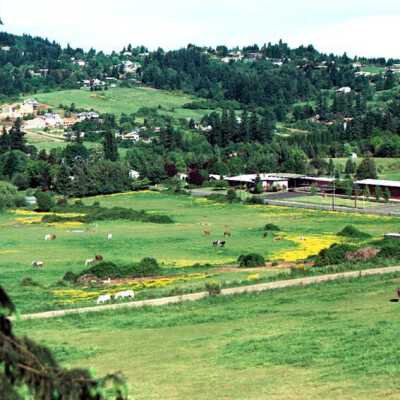 Near Happy Valley School. 1989: Origformat: Other