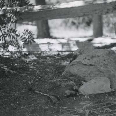Summit Meadows Mt. Hood Grave Markers