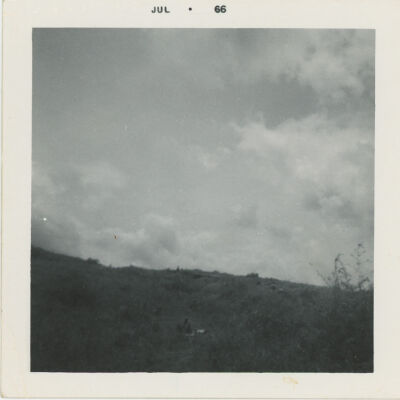 Landscape photo