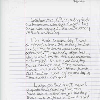 Essay