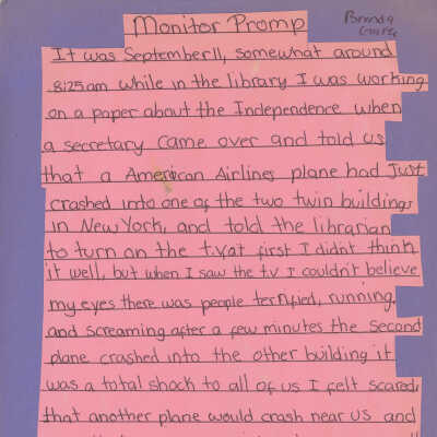 Essay: Monitor Prompt