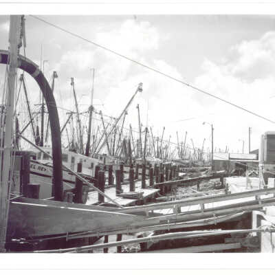 Port Isabel shrimp fleet