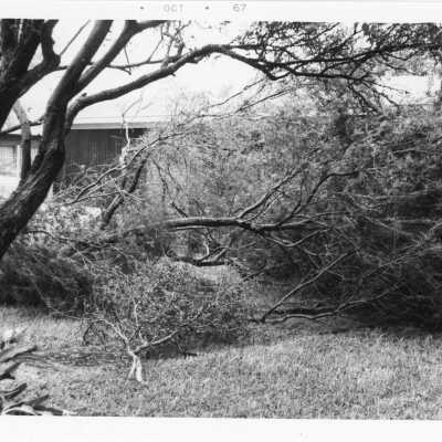Hurricane Beulah