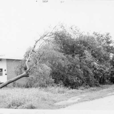 Hurricane Beulah