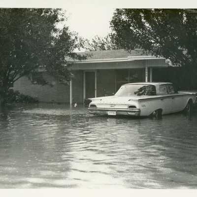 Whitewing Dr