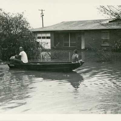 Whitewing Dr.