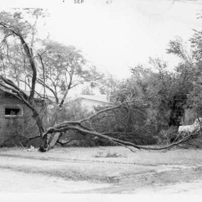 Hurricane Beulah