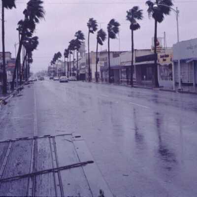 Texas Ave