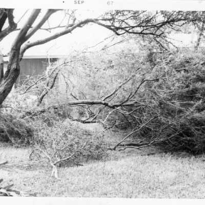 Hurricane Beulah