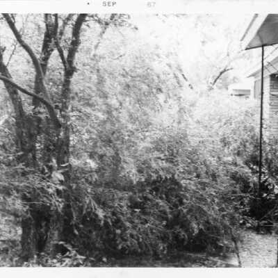 Hurricane Beulah