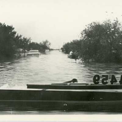 Whitewing Dr