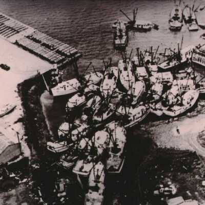 Shrimp boats