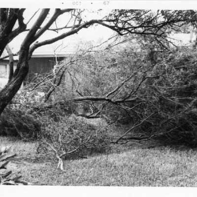 Hurricane Beulah