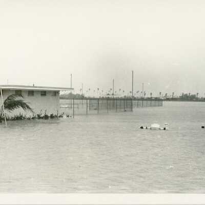McAllen pool