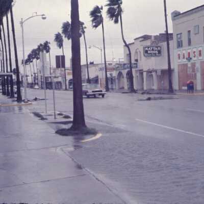 Texas Ave