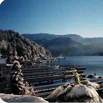 3141 - Deep Cove, snow, palm tree, 1990s.tif